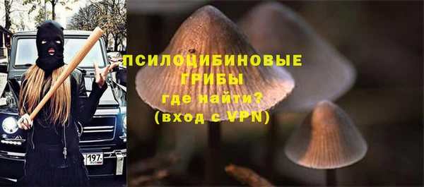 стафф Няндома