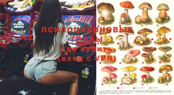 хмурый Нягань